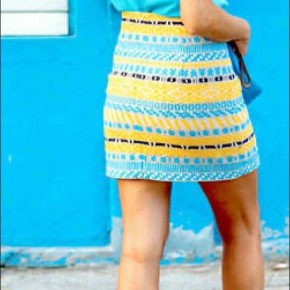 ZARA | Embroidered jacquard print mini skirt - Picture 10 of 11